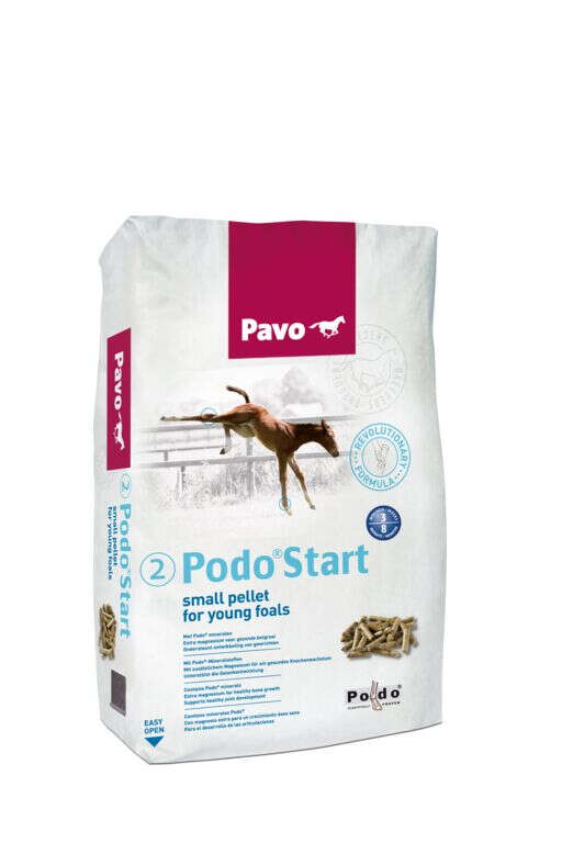 Pavo Podo Start (2)